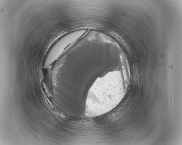 X0000085830386200704091703