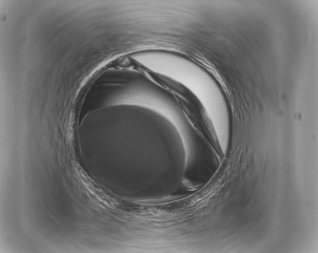 X0000085830387200704091703