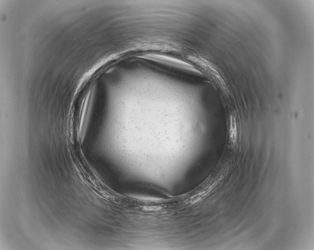 X0000085830388200704091703