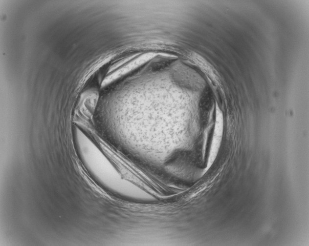 X0000085830389200704091703