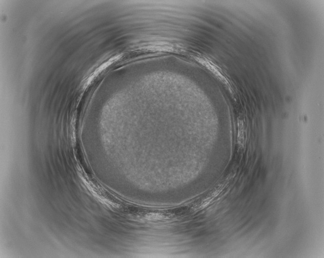 X0000085830390200704091703