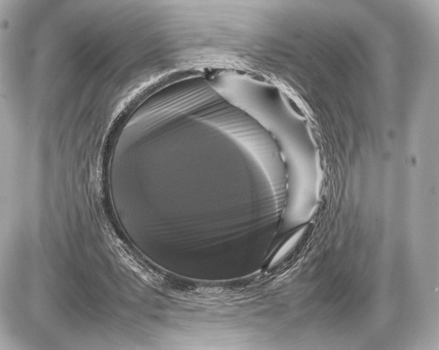 X0000085830391200704091703