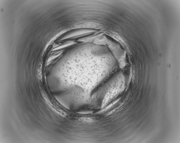 X0000085830392200704091703