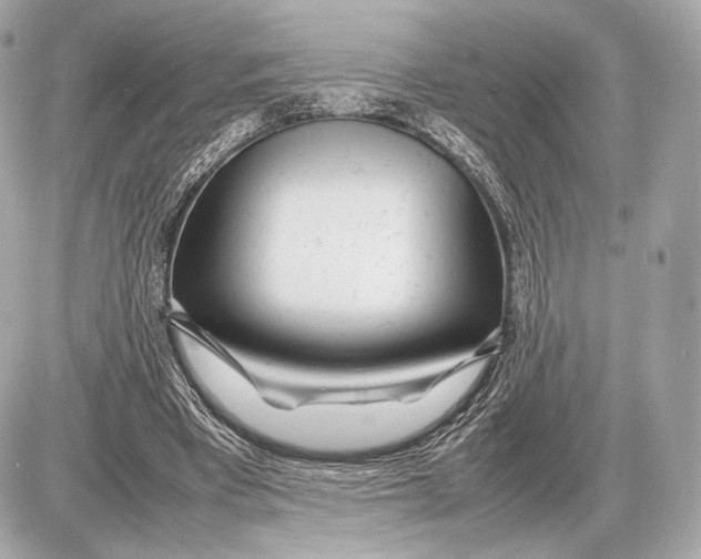 X0000085830393200704091703