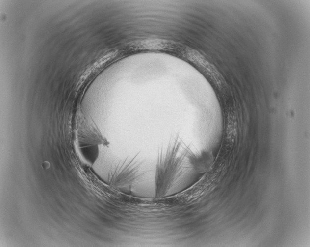 X0000085830394200704091703