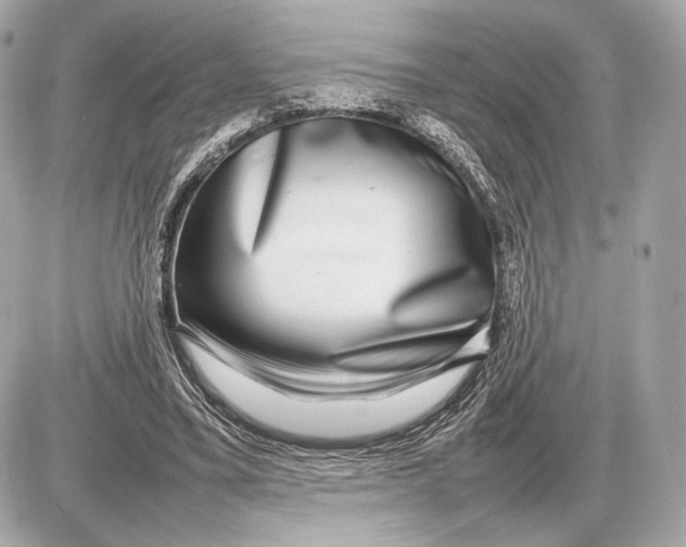 X0000085830395200704091703