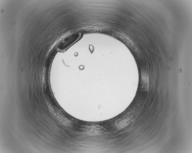 X0000085830396200704091703