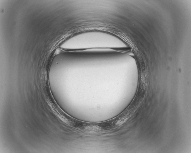 X0000085830397200704091703