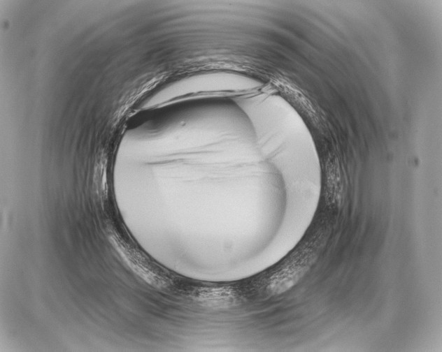 X0000085830398200704091703