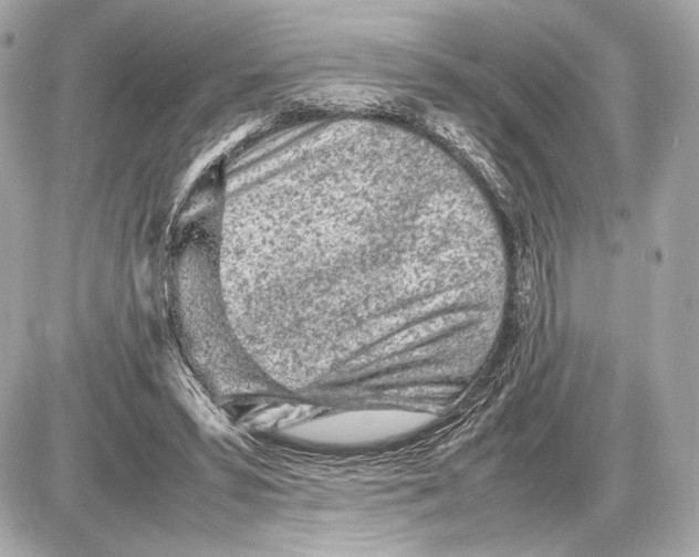 X0000085830399200704091703