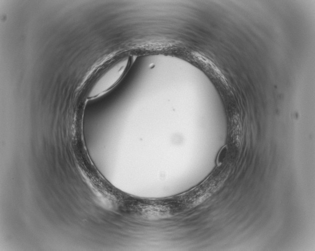 X0000085830400200704091703