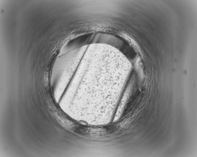 X0000085830401200704091703