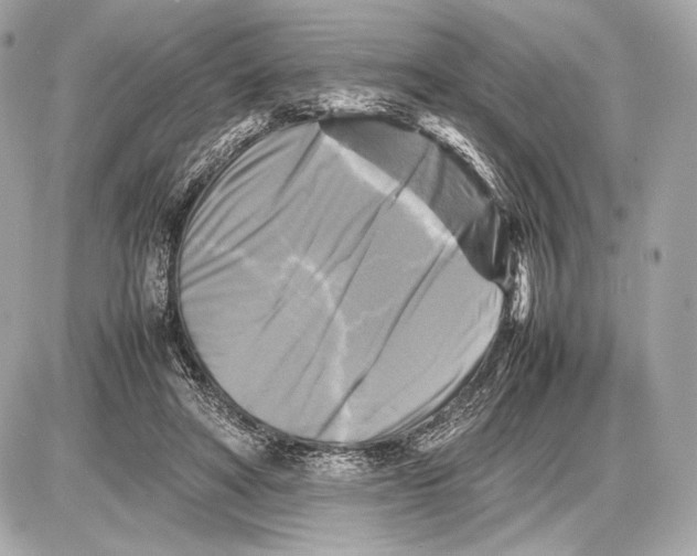 X0000085830402200704091703