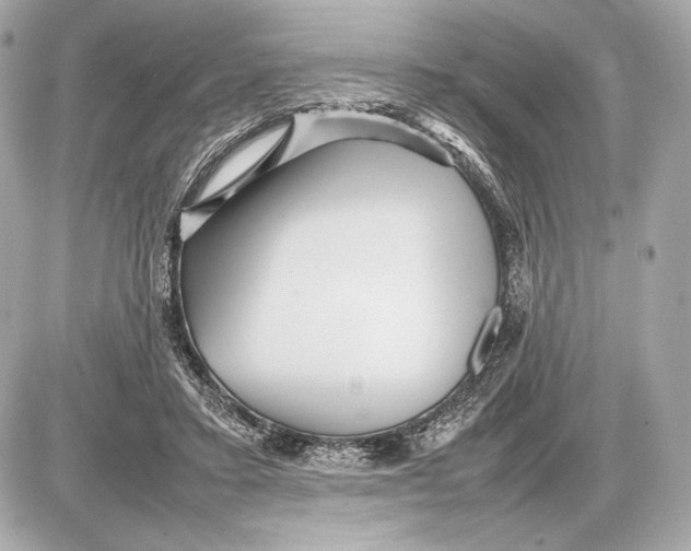 X0000085830403200704091703