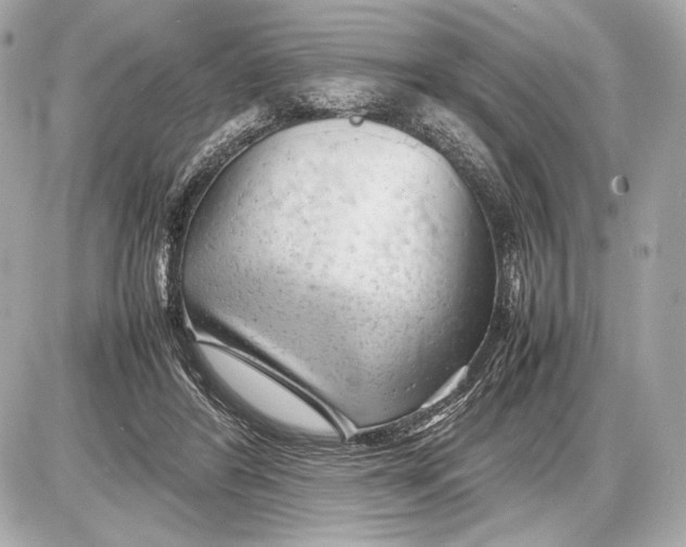 X0000085830404200704091703