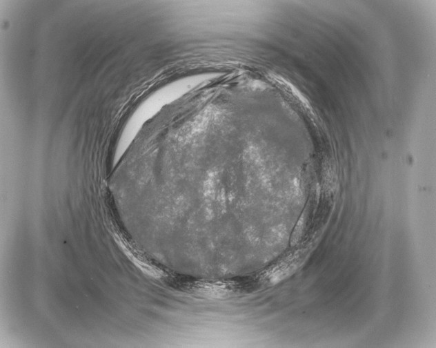 X0000085830405200704091703