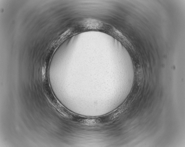 X0000085830406200704091703