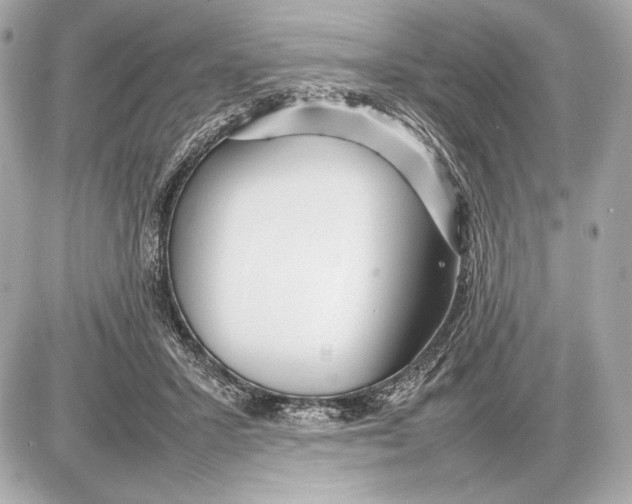 X0000085830407200704091703