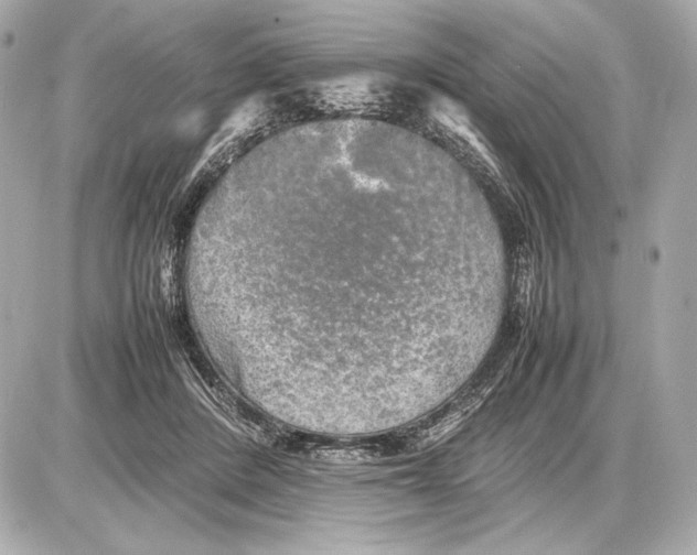 X0000085830408200704091703