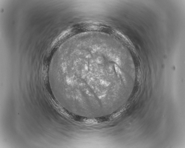 X0000085830409200704091703