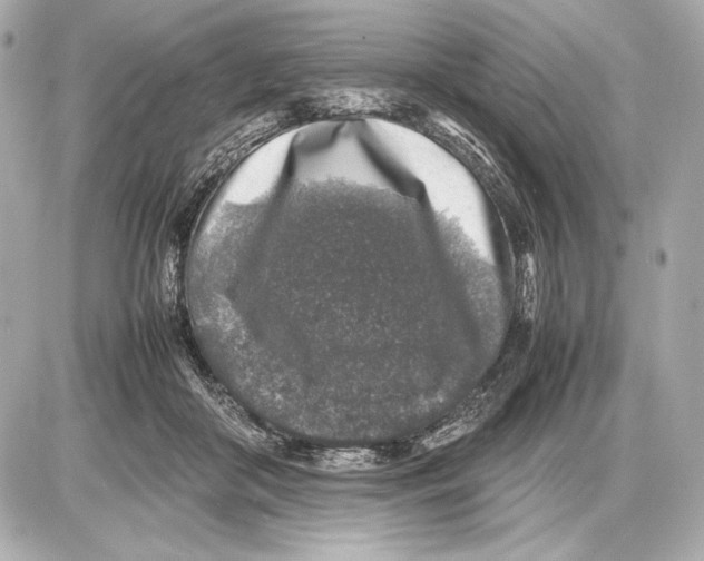 X0000085830410200704091703