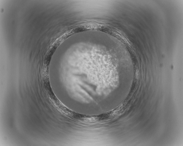 X0000085830411200704091703