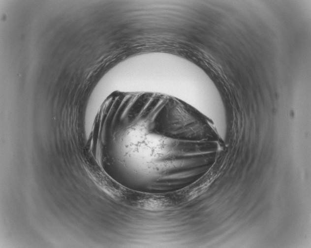 X0000085830412200704091703