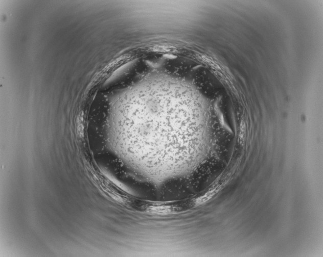 X0000085830413200704091703