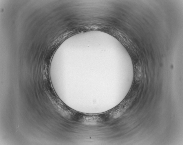 X0000085830414200704091703