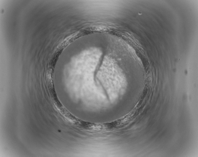 X0000085830415200704091703