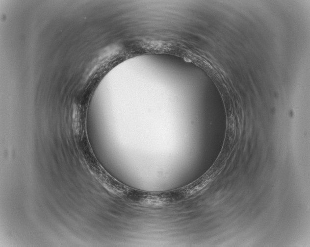 X0000085830416200704091703