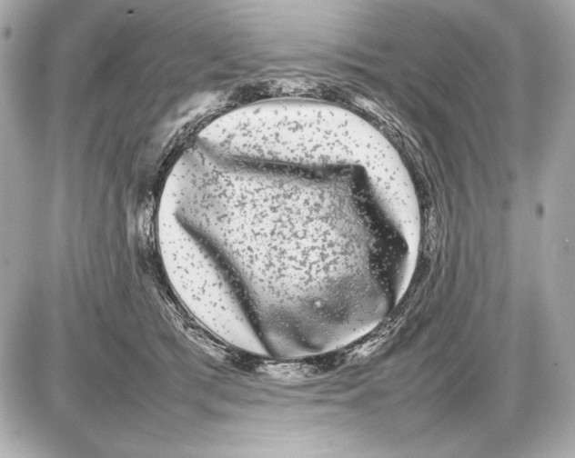 X0000085830417200704091703