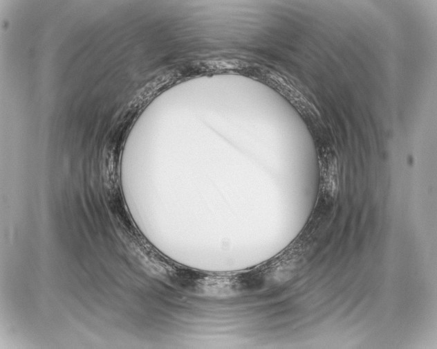 X0000085830418200704091703