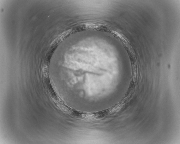 X0000085830419200704091703