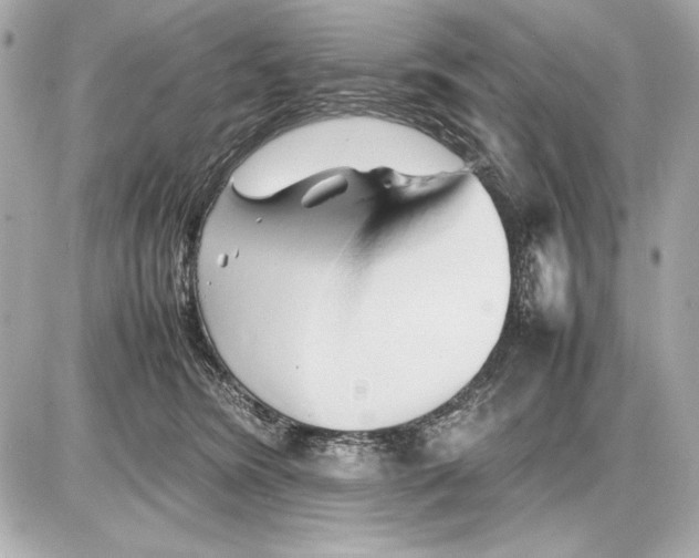 X0000085830420200704091703