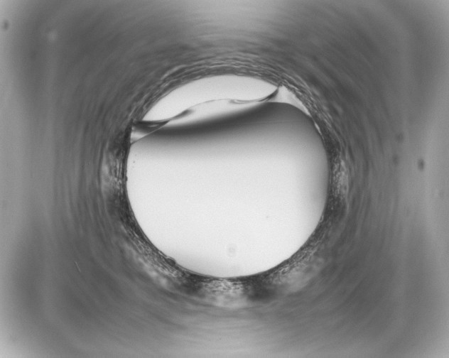 X0000085830421200704091703