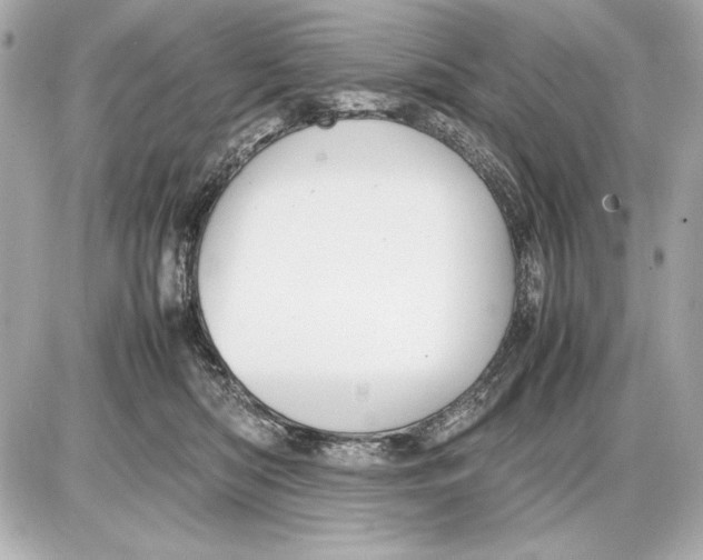 X0000085830422200704091703