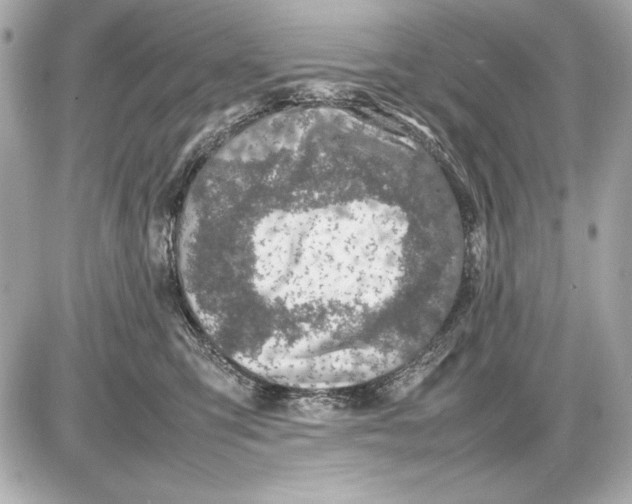 X0000085830423200704091703