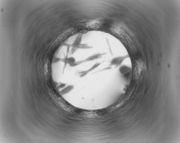 X0000085830424200704091703