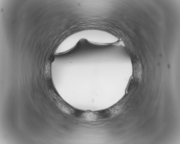 X0000085830425200704091703