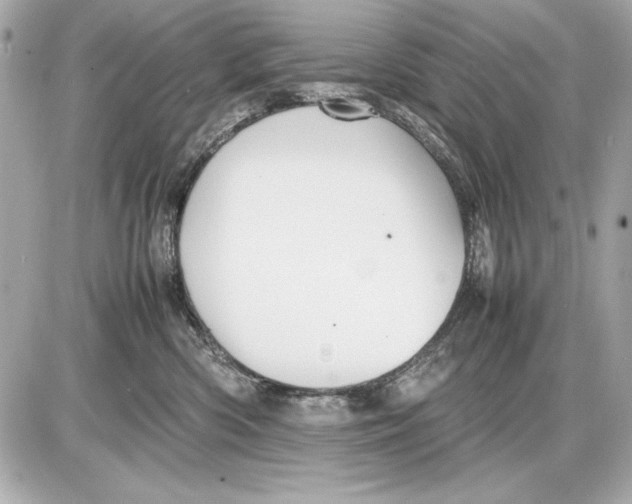 X0000085830426200704091703