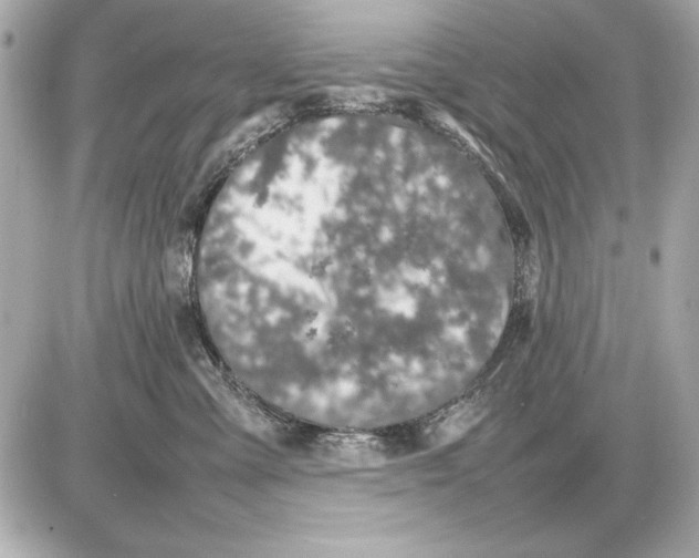 X0000085830427200704091703