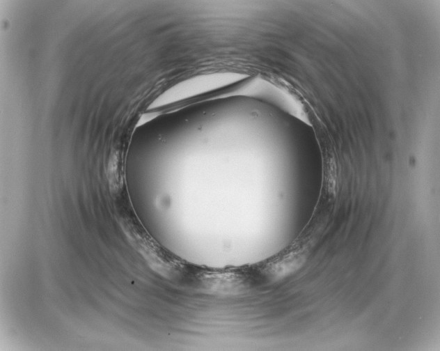 X0000085830428200704091703