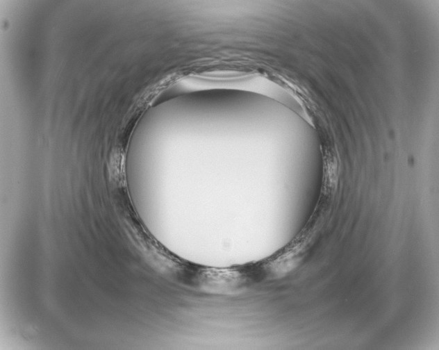 X0000085830429200704091702