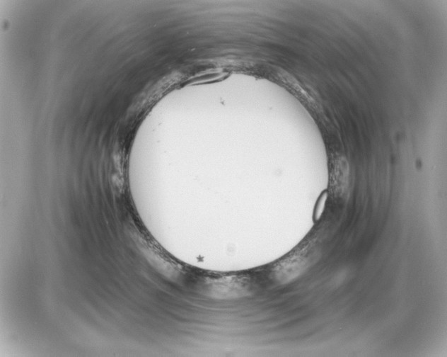 X0000085830430200704091702