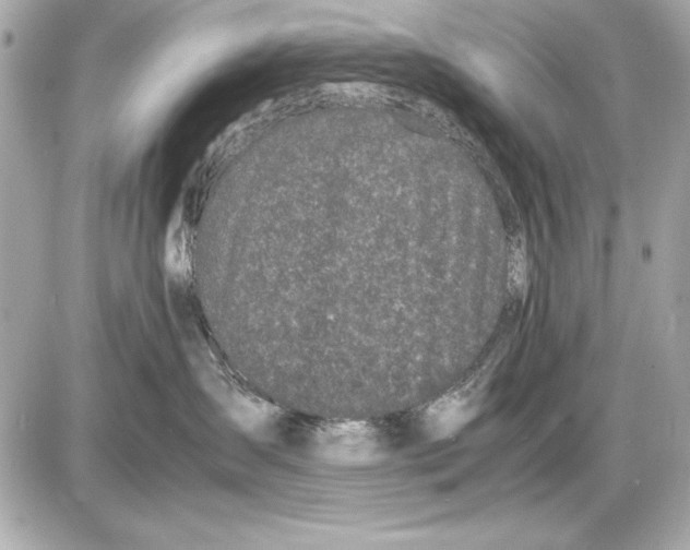 X0000085830431200704091702