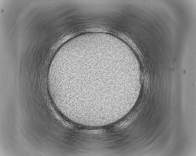 X0000085830433200704091702