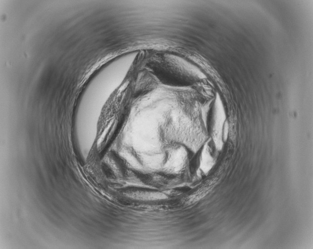 X0000085830434200704091702