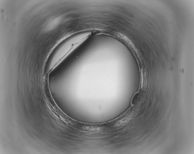 X0000085830435200704091702