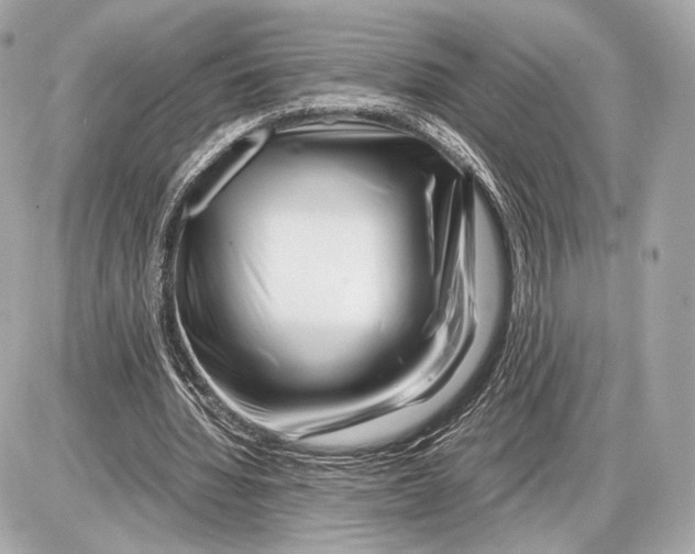 X0000085830436200704091702